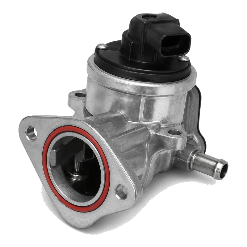 EGR dalys